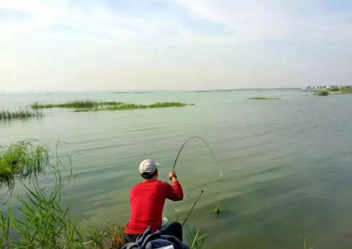 (狂流浮漂是哪个牌子的)狂漂怎么写？掌握技巧让你轻松驾驭湍急河流